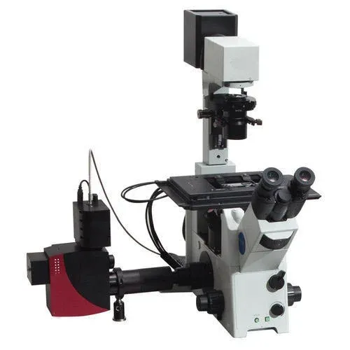 Confocal Microscopes