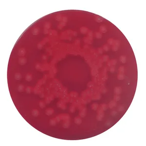 Dehydrated Blood Agar