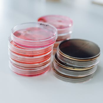 Photo by Charles Deluvio